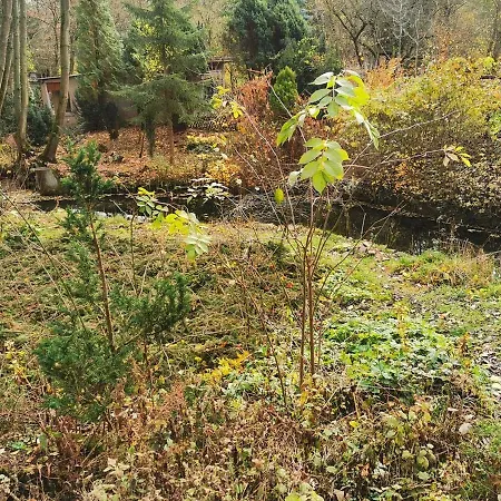 An Der Lottenquelle * Weimar (Thuringia)